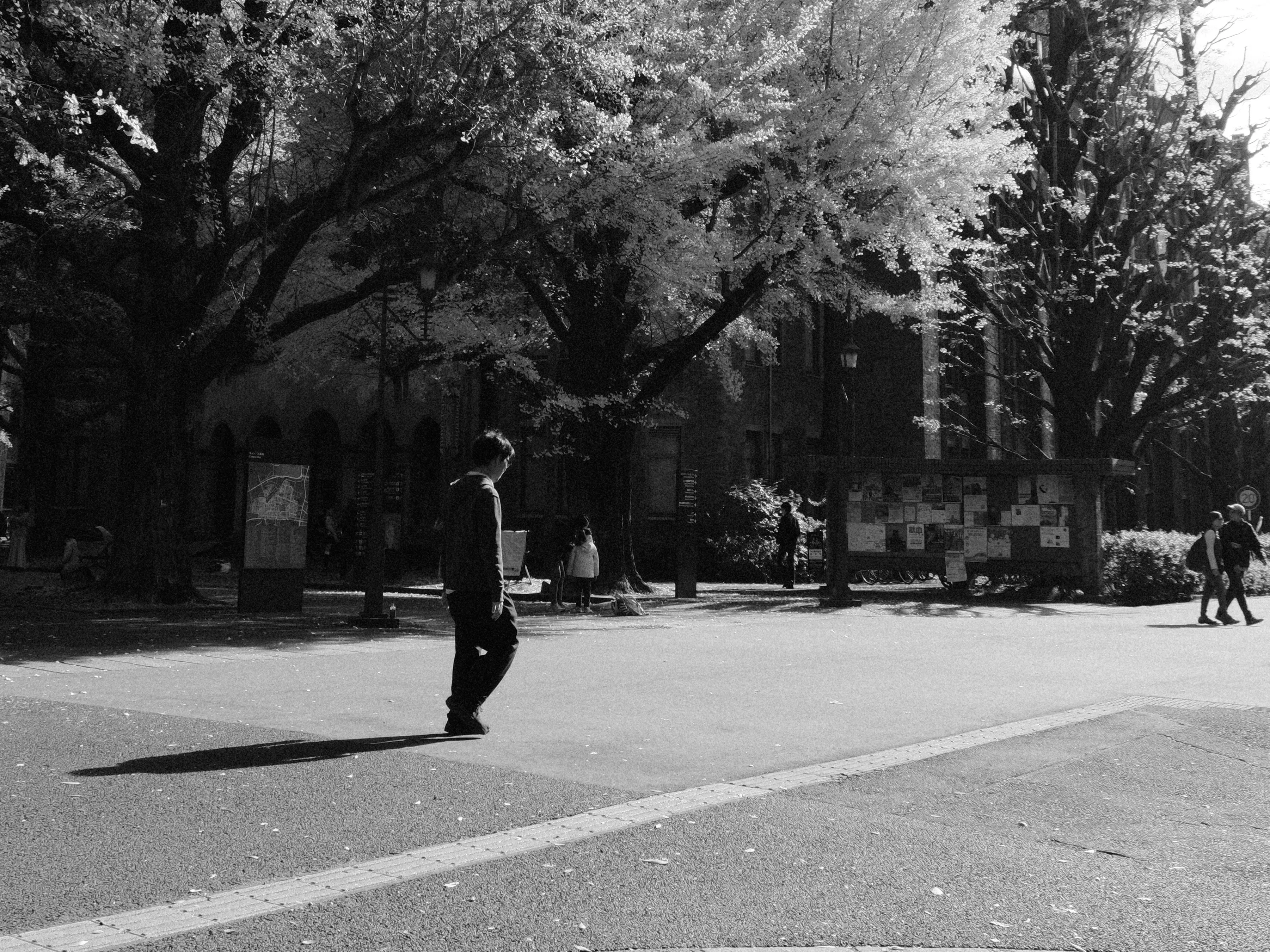 Cover Image of the Post