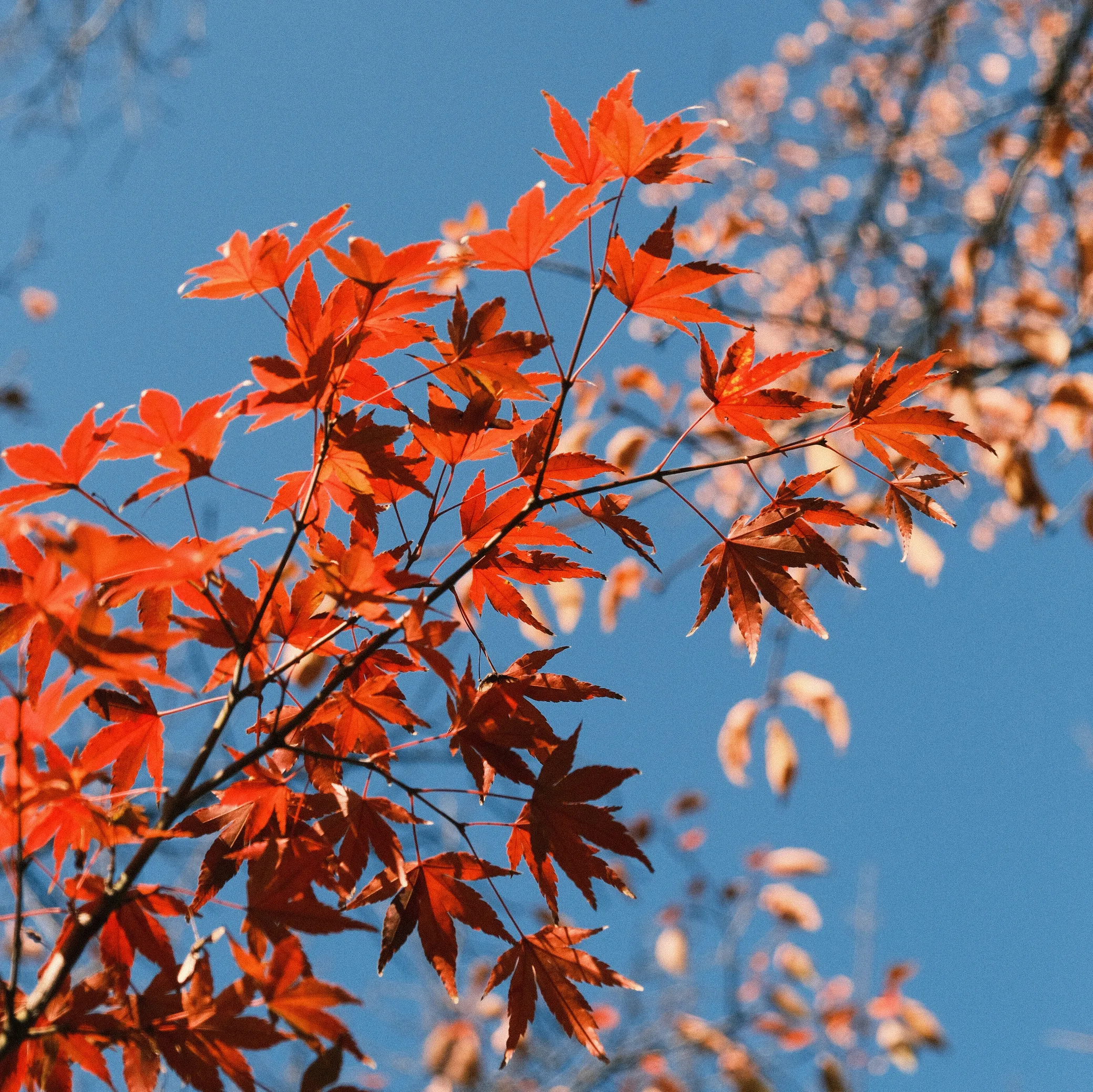 Cover Image of the Post