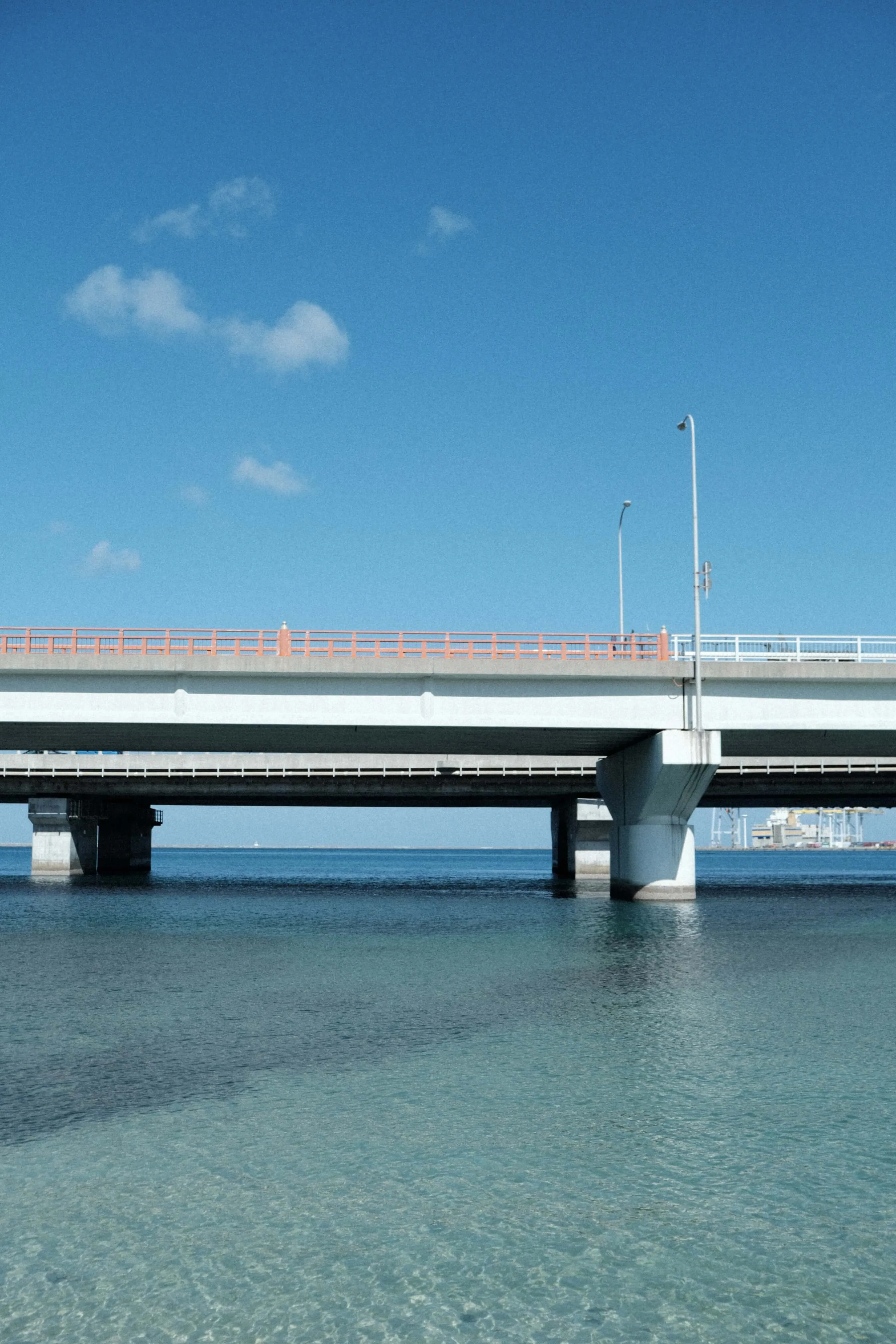 Cover Image of the Post